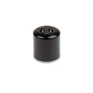 Filtr oleju QJ Motor SRV 125 / 250 V