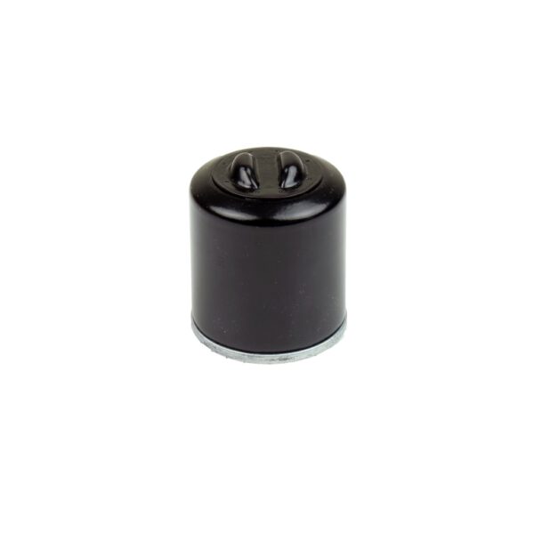 Filtr oleju QJ Motor SRV 125 / 250 V